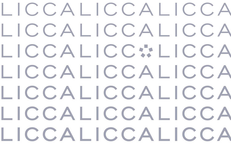 licca book